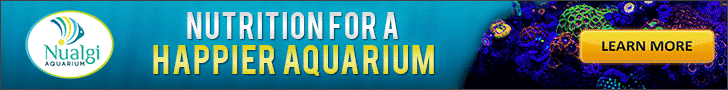 http://nualgiaquarium.com/?utm_source=worcreef.org&utm_medium=banner&utm_term=WORC2015&utm_campaign=Event%20Sponsorship